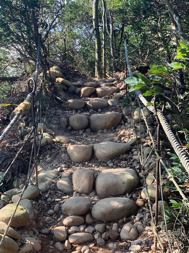 A stony path made up of large grey rocks.